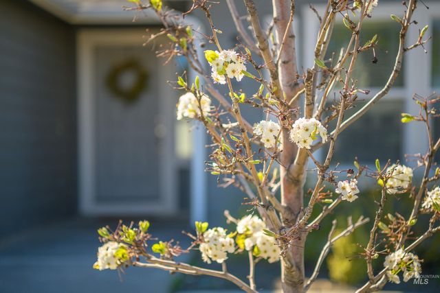 521 Bolson Pl, Caldwell, ID 83605