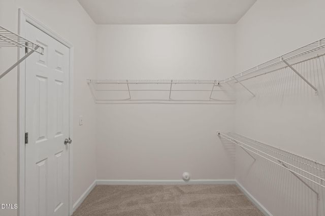 3207 Geary Trail, Raleigh, NC 27610