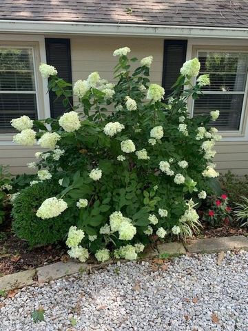 7725 Woodland Drive, Shawnee, KS 66218