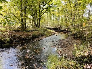 18303 2 Mile Road, Morley, MI 49336