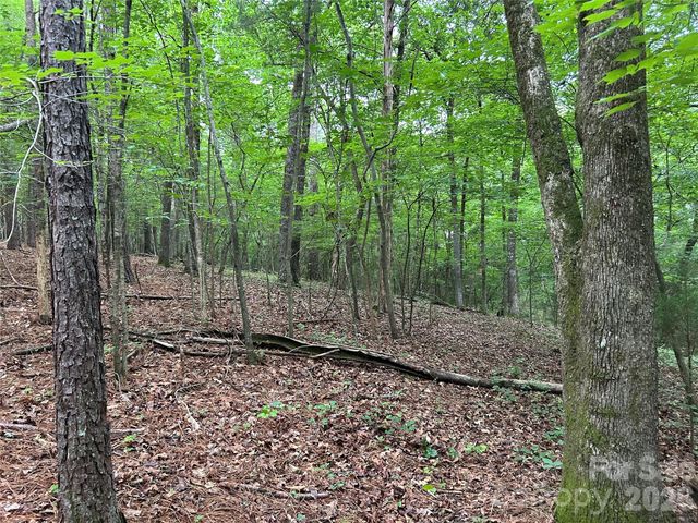 3909 Wightman Church Road, Polkton, NC 28135