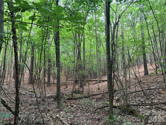 3909 Wightman Church Road, Polkton, NC 28135