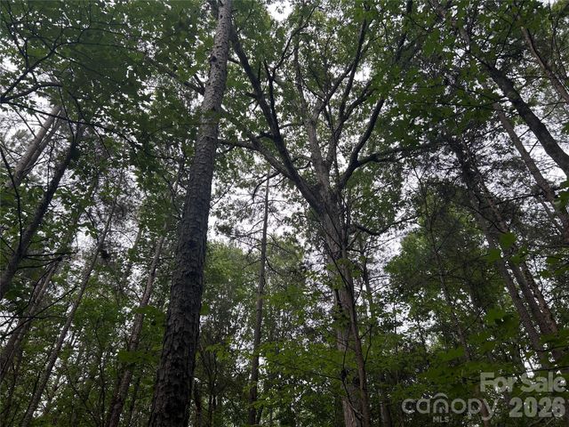 3909 Wightman Church Road, Polkton, NC 28135