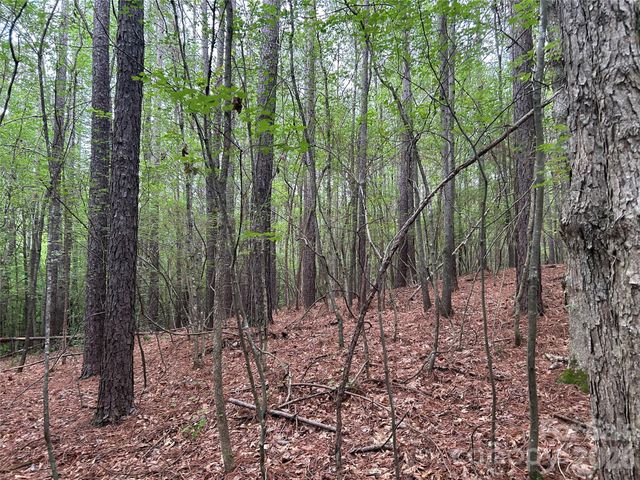 3909 Wightman Church Road, Polkton, NC 28135