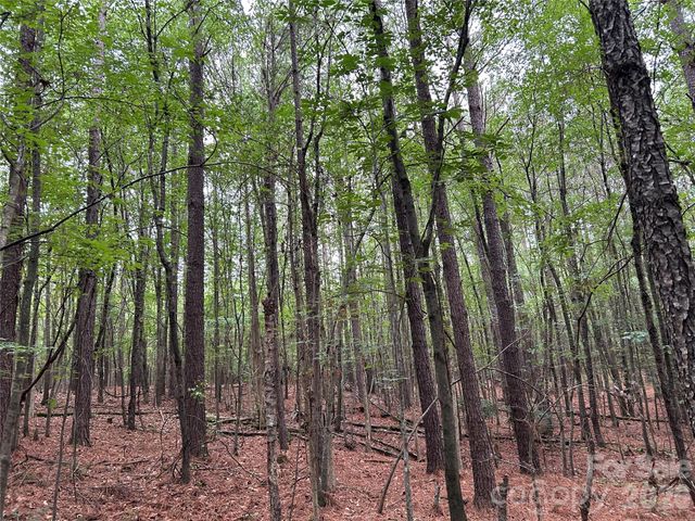 3909 Wightman Church Road, Polkton, NC 28135