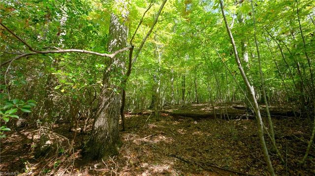 0 Dearmin Road, Westfield, NC 27053