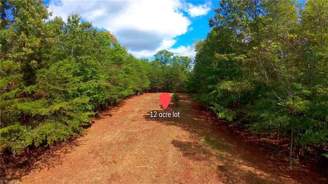 0 Dearmin Road, Westfield, NC 27053