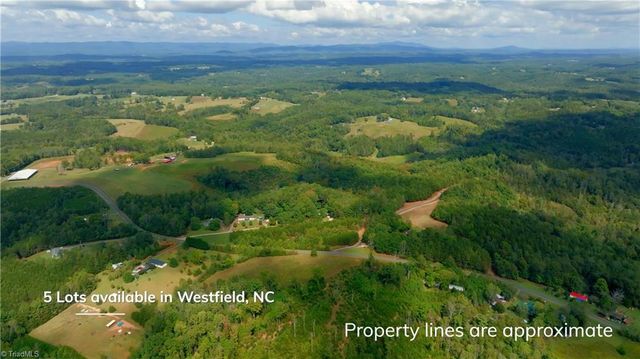 0 Dearmin Road, Westfield, NC 27053