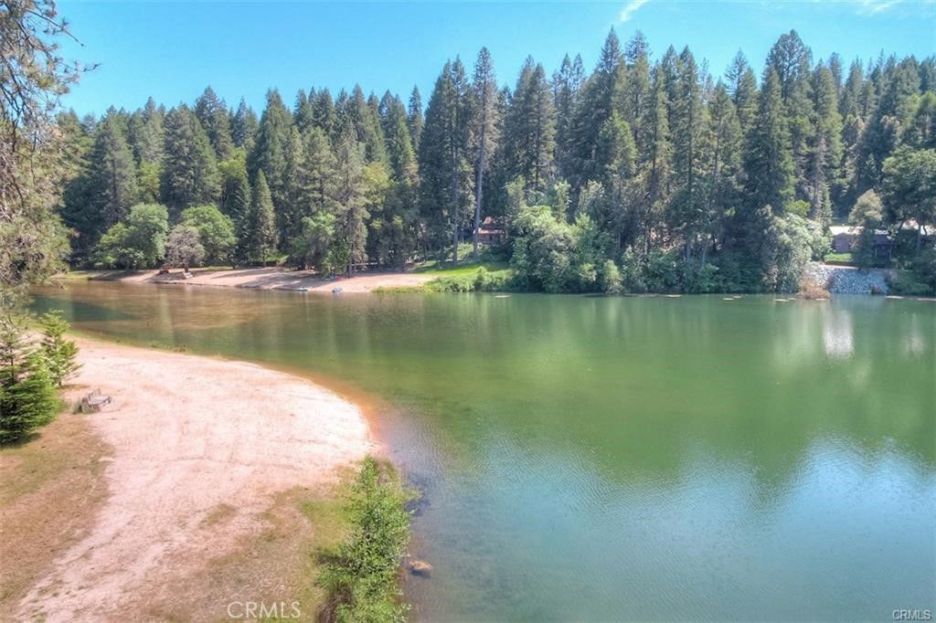 Image 17 of property listing at 0 Pavlik Pines, Berry Creek, CA 95916