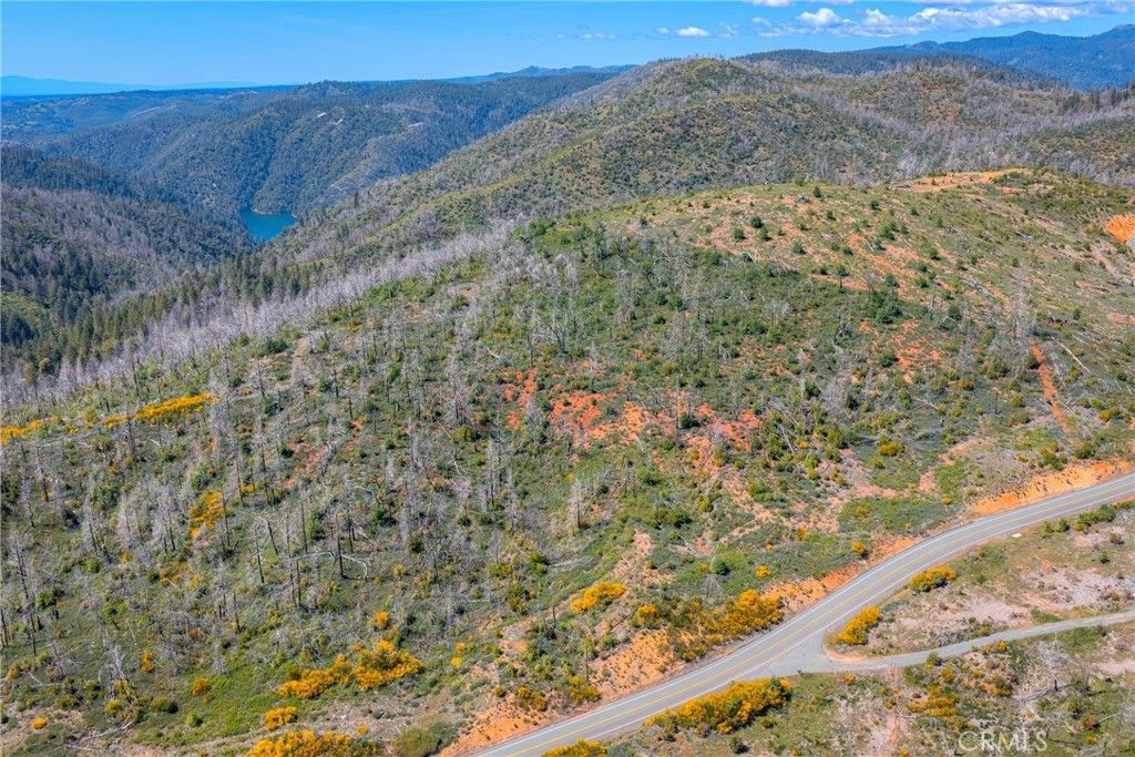 Image 19 of property listing at 0 Pavlik Pines, Berry Creek, CA 95916