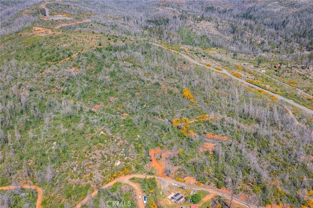 Image 4 of property listing at 0 Pavlik Pines, Berry Creek, CA 95916