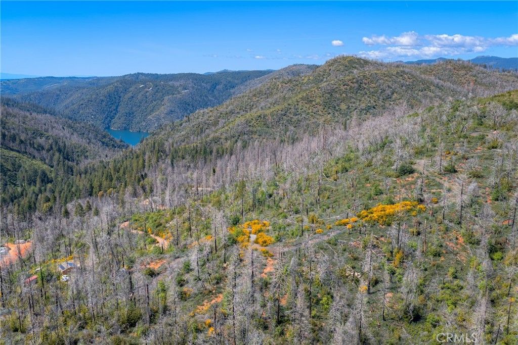 Image 6 of property listing at 0 Pavlik Pines, Berry Creek, CA 95916