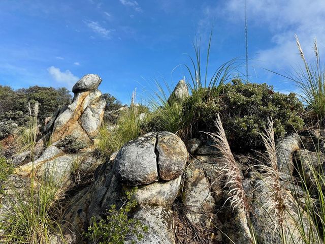 301 Red Dog Ridge, Watsonville, CA 95076