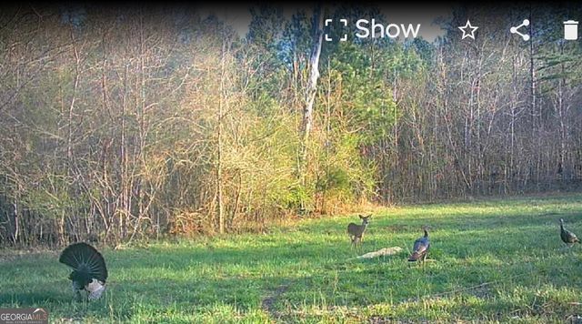 340 Noles Road, Franklin, GA 30217