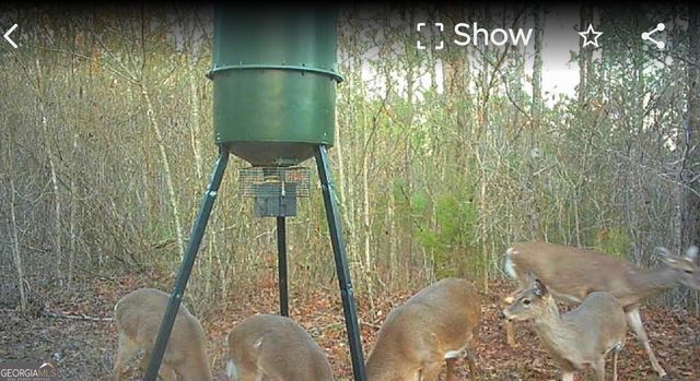 340 Noles Road, Franklin, GA 30217