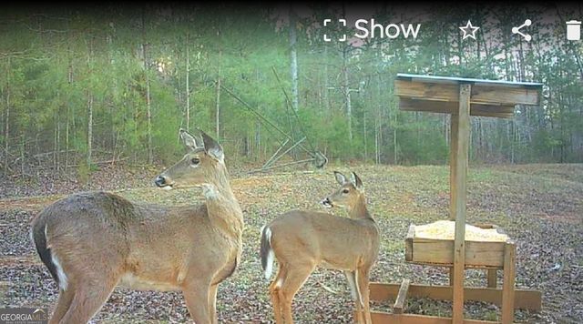 340 Noles Road, Franklin, GA 30217