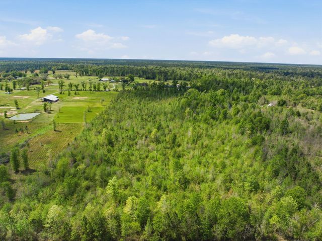 Bill Gilbert, Ragley, LA 70657