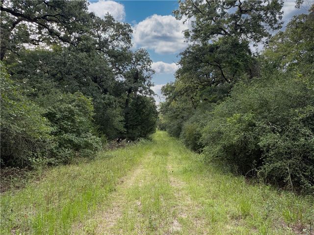TBD Old Hickory Grove Rd. County Road NE, Franklin, TX 77856