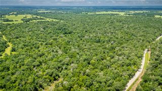 TBD Old Hickory Grove Rd. County Road NE, Franklin, TX 77856