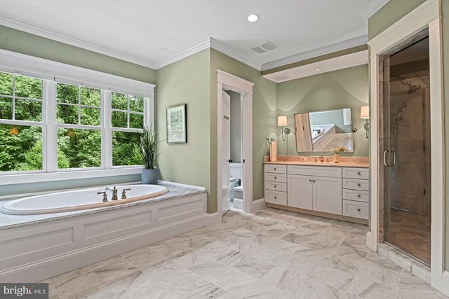 248 SPRINGVALE RD, Great Falls, VA 22066