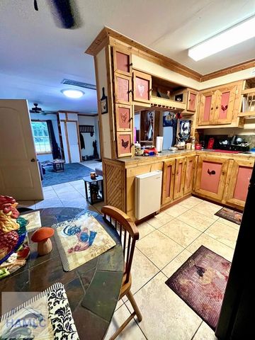 351&353 Thurmon Road, Jesup, GA 31545
