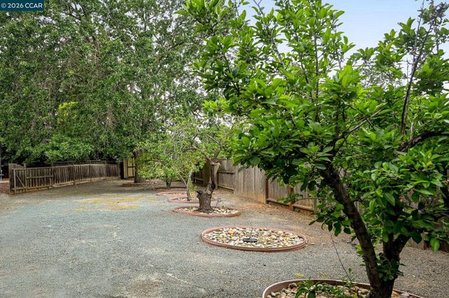 1016 Pine Hollow Ct, Clayton, CA 94517