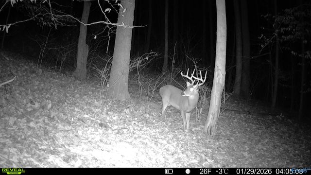 2818 County Road 27, Estillfork, AL 35745