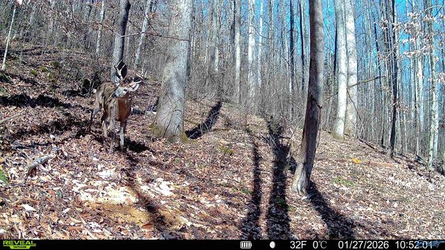 2818 County Road 27, Estillfork, AL 35745