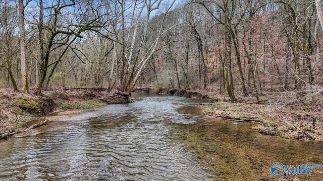 2818 County Road 27, Estillfork, AL 35745