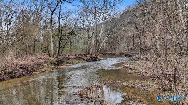 2818 County Road 27, Estillfork, AL 35745