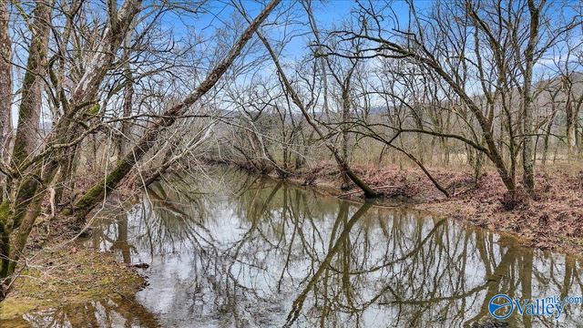 2818 County Road 27, Estillfork, AL 35745