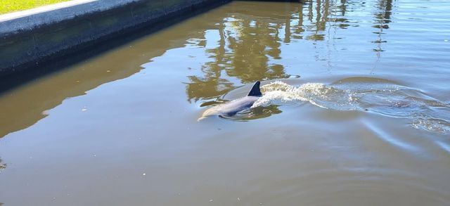 6912 7TH AVENUE BOULEVARD NW, Bradenton, FL 34209