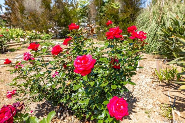 2357 Royal Crest, Escondido, CA 92025