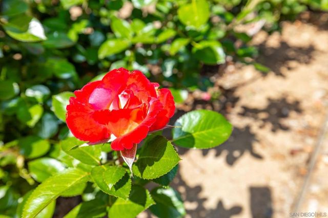 2357 Royal Crest, Escondido, CA 92025