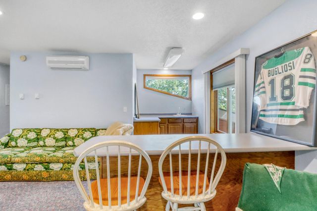 23093 Roosevelt Beach Lane, Detroit Lakes, MN 56501