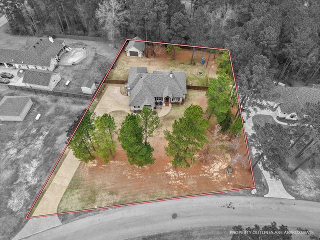 287 Bralan Drive, Diana, TX 75640