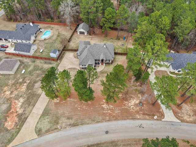 287 Bralan Drive, Diana, TX 75640