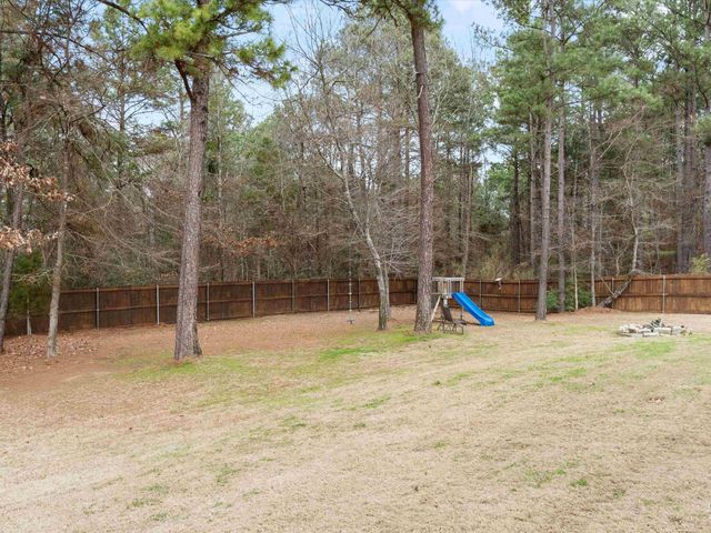 287 Bralan Drive, Diana, TX 75640