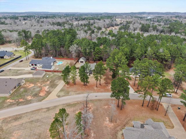 287 Bralan Drive, Diana, TX 75640