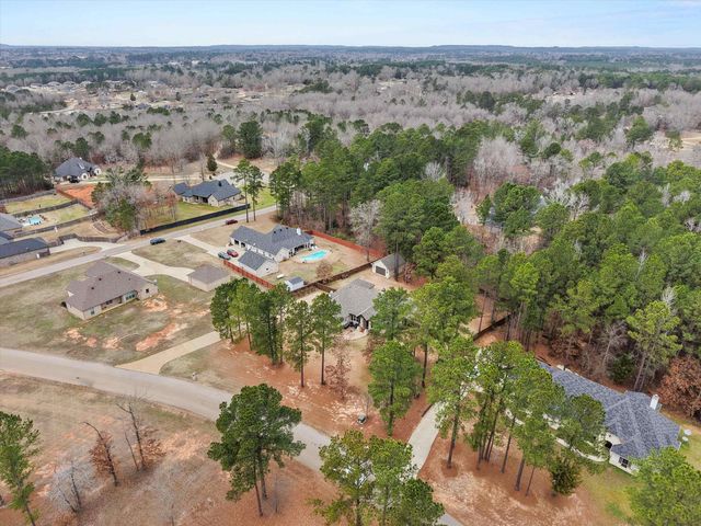 287 Bralan Drive, Diana, TX 75640