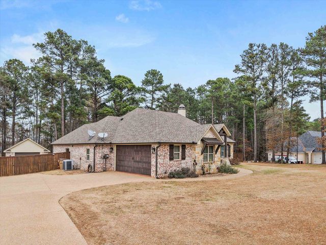 287 Bralan Drive, Diana, TX 75640