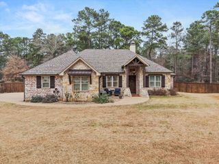 287 Bralan Drive, Diana, TX 75640