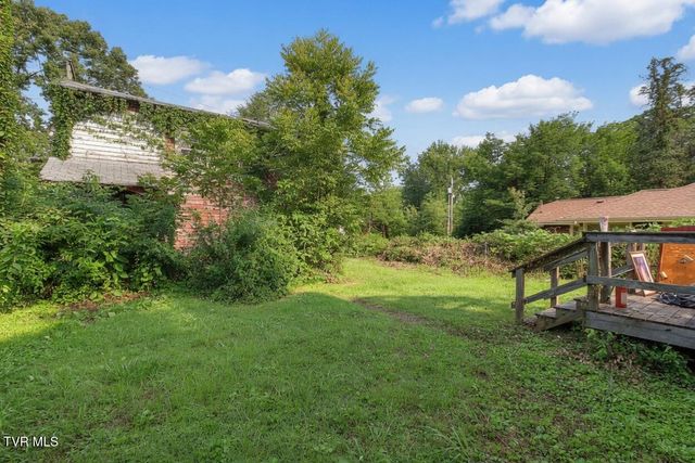 509 East Unaka Avenue, Johnson City, TN 37601