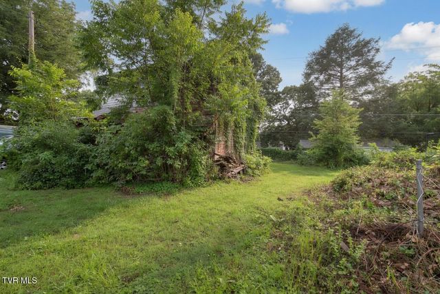 509 East Unaka Avenue, Johnson City, TN 37601