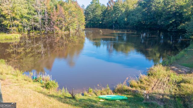 5100 Durand Highway, Warm Springs, GA 31830