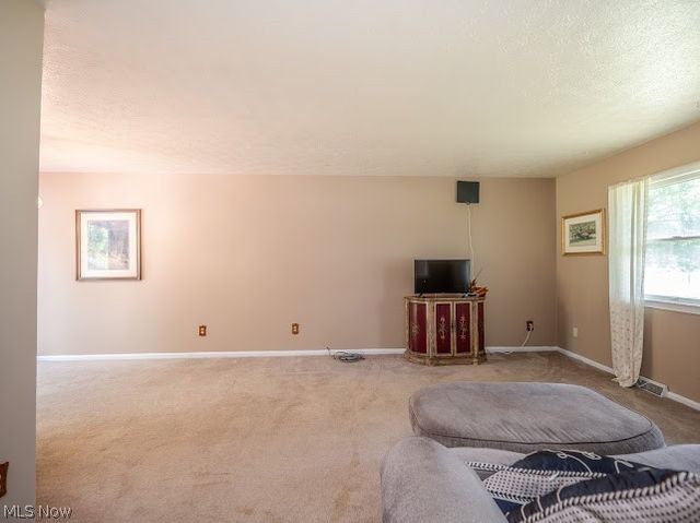 3545 Cadwallader Sonk Road, Cortland, OH 44410