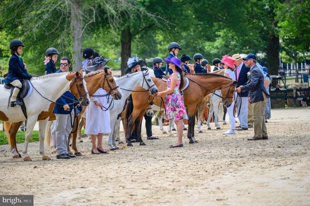 33195 MILLVILLE RD, Upperville, VA 20184