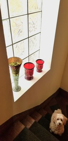 4222 Prescott Avenue, Lyons, IL 60534