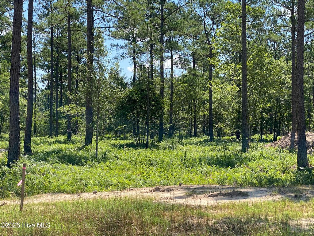 8750 Compass Pointe West Wynd NE, Leland, NC 28451