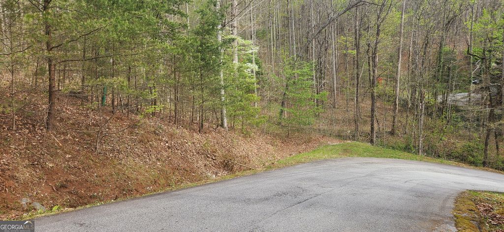 0 (LOT 13) Yellow Trillium, Clayton, GA 30525 — photo 2
